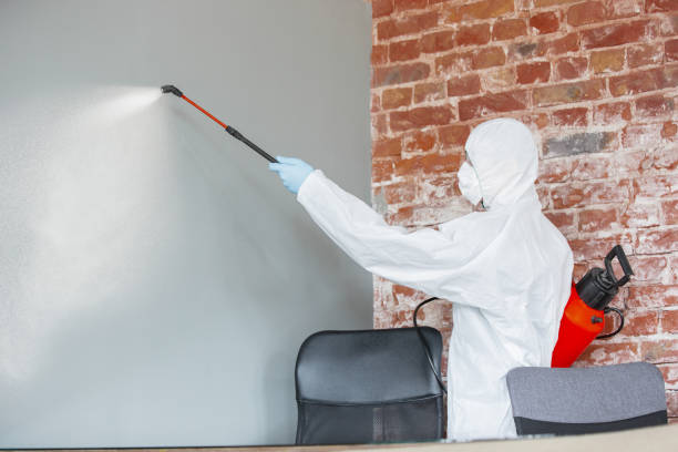 Best Mold Removal for HVAC Installations  in Lewistown, IL